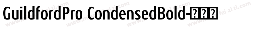 GuildfordPro CondensedBold字体转换